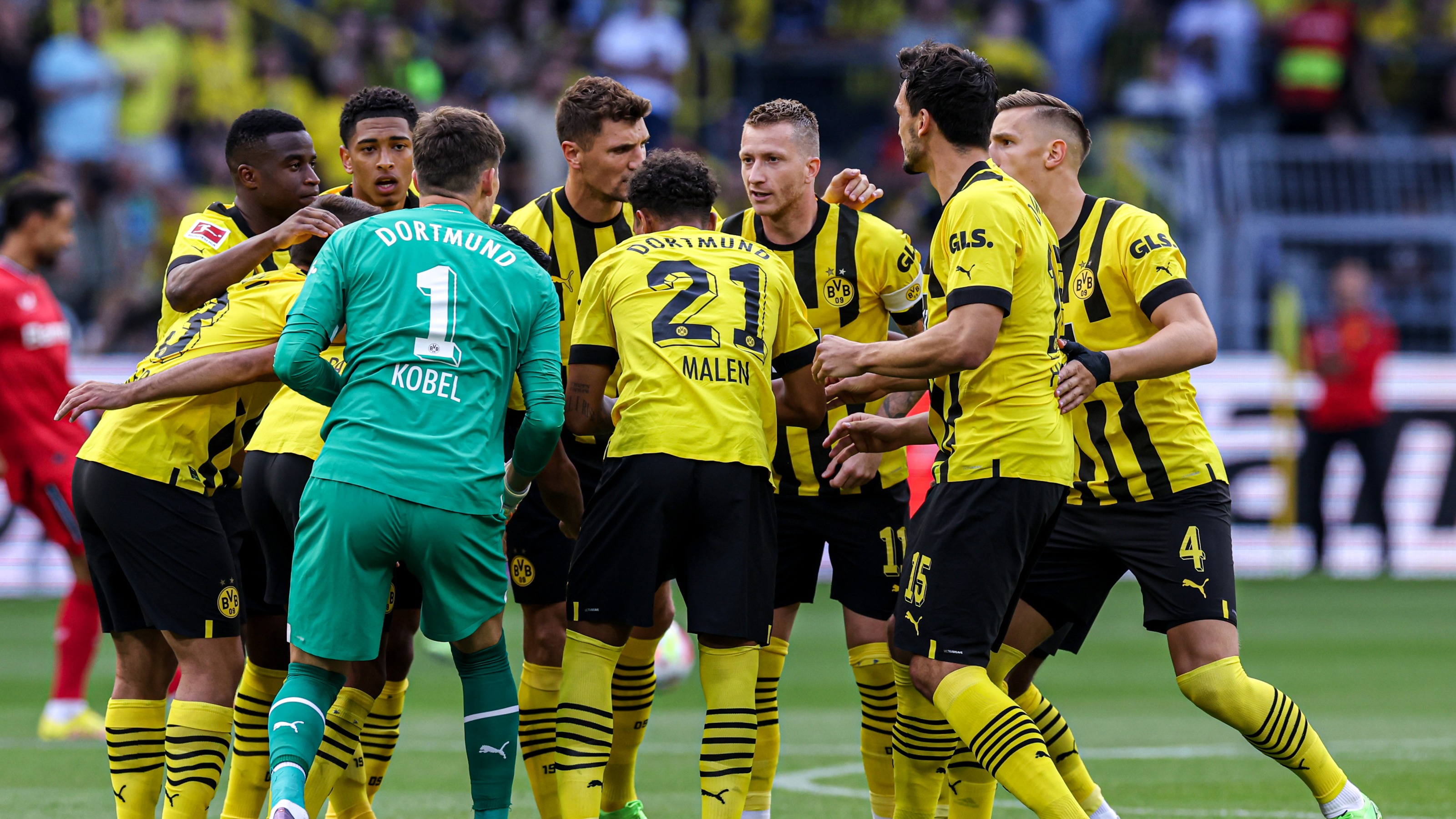 10吨植物油精炼设备