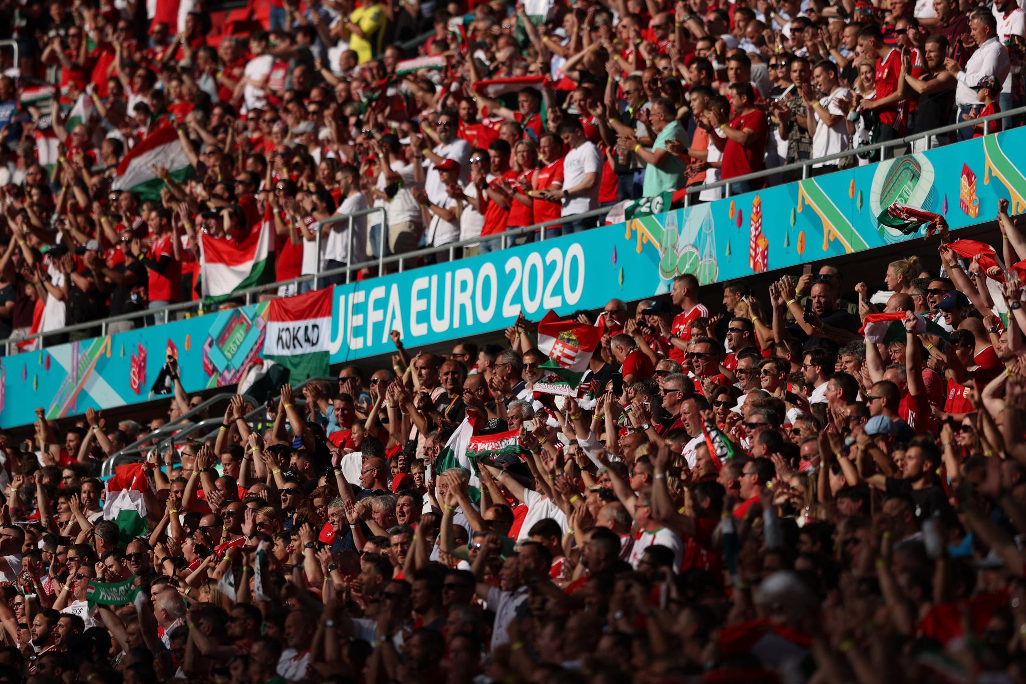 影响油脂吸附脱色的因素