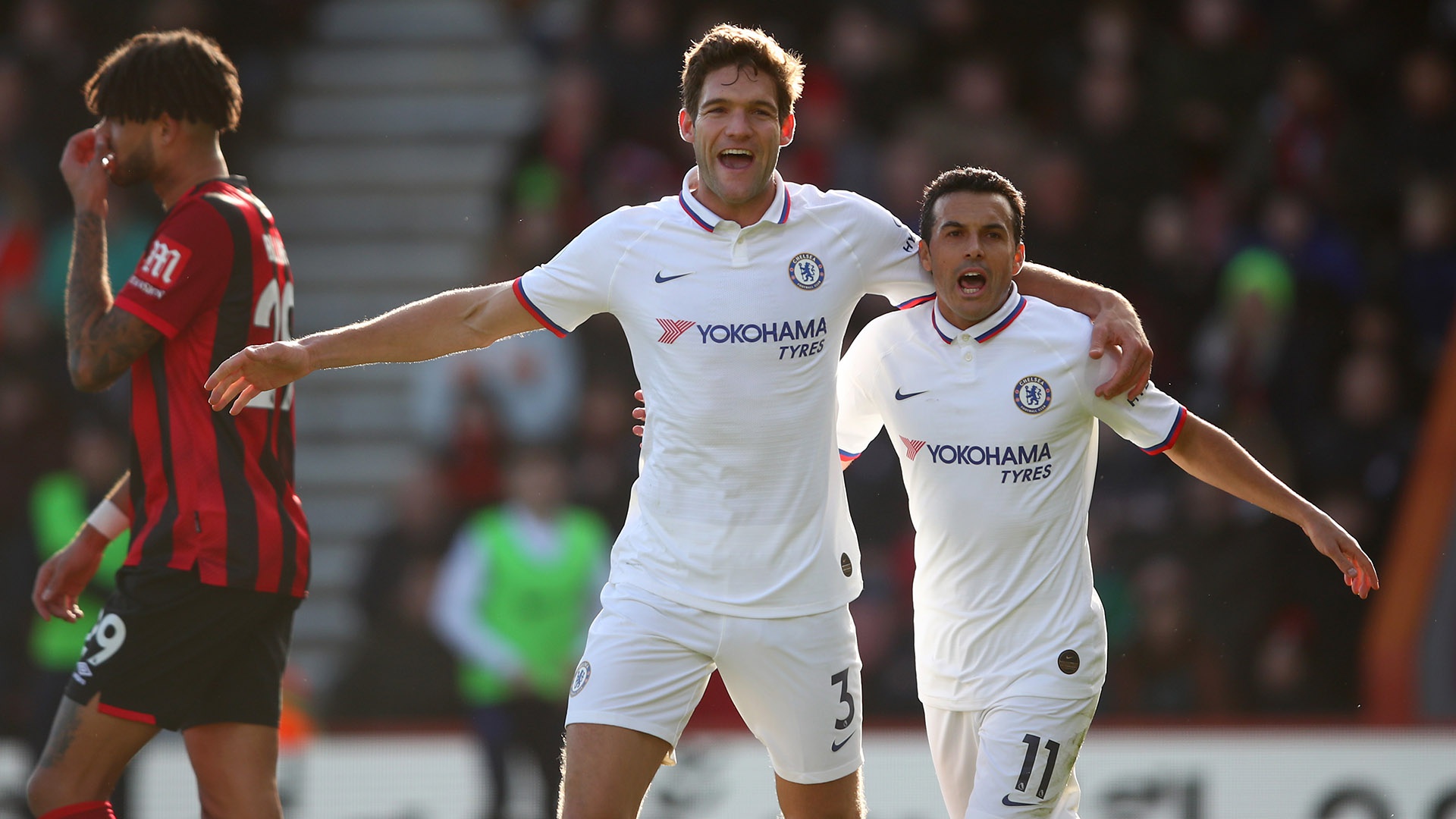 10吨植物油精炼设备