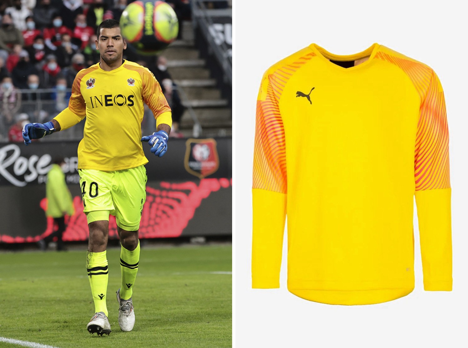 1吨-10吨茶籽油生产线